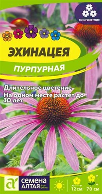 Семена Эхинацея Пурпурная 0,2гр Семена Алтая 117795 - фото 32264