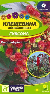 Семена Клещевина обыкновенная Гибсона 3шт Семена Алтая 117801 - фото 32270