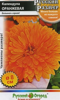 Семена Календула Оранжевая 0,5гр РО - фото 32447