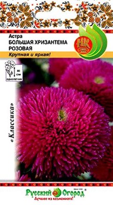 Семена Астра Большая хризантема розовая 50шт РО 118023 - фото 32466