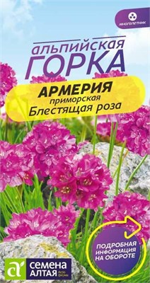 Семена Армерия Блестящая роза 0,03гр Семена Алтая 117695 - фото 40763