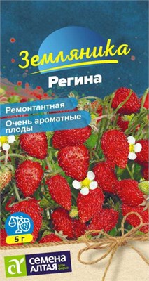 Семена Земляника Регина 0,03гр Семена Алтая 123776 - фото 40931