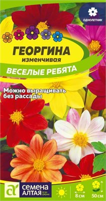 Семена Георгина Веселые ребята 0,2гр Семена Алтая 123964 - фото 41114