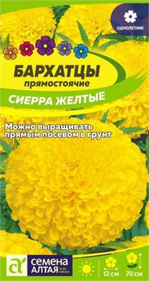 Семена Бархатцы Сиерра желтые 0,2гр Семена Алтая 124033 - фото 41182