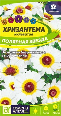 Семена Хризантема килеватая Полярная звезда 0,1гр Семена Алтая 124226 - фото 41358