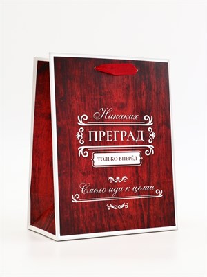 Пакет подарочный вертикальный «Только вперёд», 18*23*10см 124429 - фото 41552