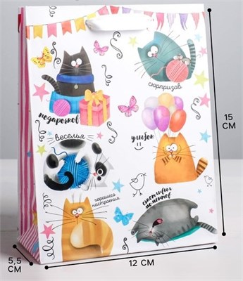 Пакет подарочный ламинированный вертикальный, «Забавные коты», S 12*15*5,5см 124433 - фото 41556