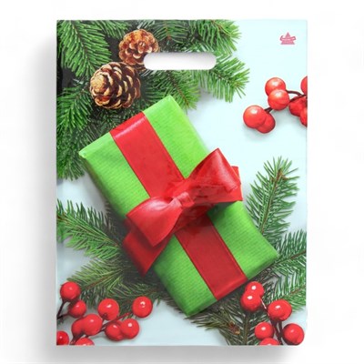 Пакет подарочный новогодний «Калина в подарок», полиэтиленовый с вырубной ручкой, 40*31см 126056