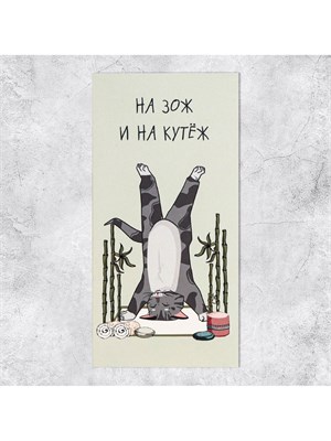 Конверт д/денег «На ЗОЖ и кутеж», 16.5*8см 126186