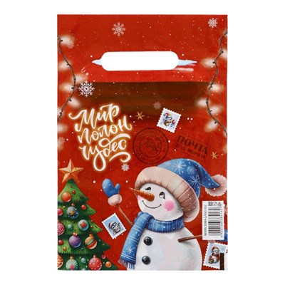 Пакет подарочный новогодний «Снеговик мир полон чудес», полиэтиленовый с вырубной ручкой, 20*30см 126298