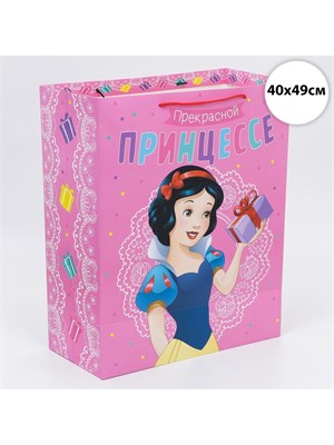 Пакет подарочный «Прекрасной принцессе», 40*49*19см, Принцессы 126312