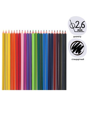 Карандаши Calligrata, цветные, 24цв, эконом, шестигранные, пластиковые 126656