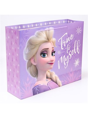 Пакет подарочный, 50*40*15см, упаковка, Холодное сердце 102748