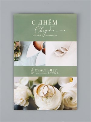 Открытка поздравительная с карманом д/денег «Свадьба», 19*29см 127572