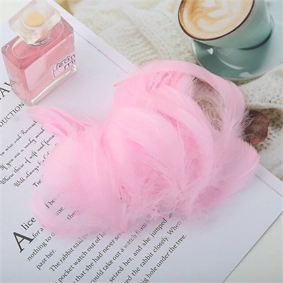 Перья д/декора 10гр, цв. розовый 107992