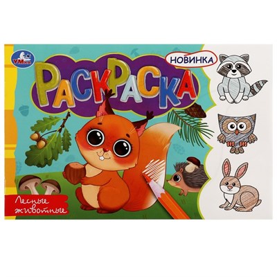 Раскраска «Лесные животные», 8стр 128730