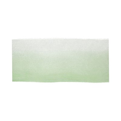 лента капрон двухцветная ORР-38 №001/076 белый/зеленый - фото 8355