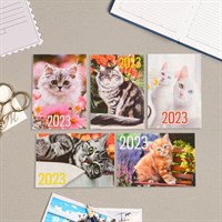 Карманный календарь "Коты" 2023 год, 7х10см, МИКС