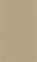 Бумага для пастели "Lana" Lana Colours цв. белый серый, 160 г/м², 50х65 см, 1л