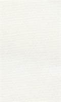 Бумага для пастели "Lana" Lana Colours цв. белый, 160 г/м², 50х65 см, 1л
