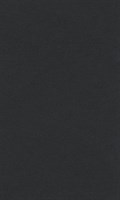 Бумага для пастели "Lana" Lana Colours цв. черный, 160 г/м², 50х65 см, 1л