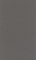 Бумага для пастели "Lana" Lana Colours цв. темно-серый, 160 г/м², 50х65 см, 1л