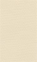 Бумага д/пастели lana colours А4 160г/м2, 21*29,7 см, цвет слоновая кость, 1л 