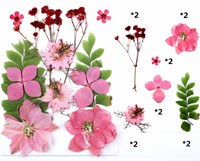 Сухоцветы для эпоксидной смолы "цветочки" розовый микс с листиками