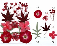 Сухоцветы для эпоксидной смолы "цветочки" красный микс с кленом