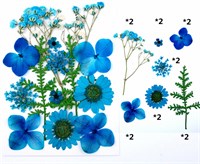 Сухоцветы для эпоксидной смолы "цветочки"голубой микс