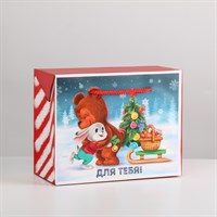 Пакет-коробка новогодний «Для тебя», 23*18*11см