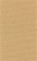 Бумага д/пастели lana colours 160г/м2, 42х29,7 см, цвет песочный, 1л 
