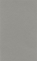 Бумага д/пастели lana colours А3 160г/м2, цвет холодный серый, 1л 