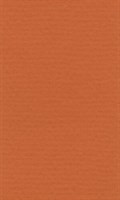 Бумага д/пастели lana colours А3 160г/м2, цвет оранжевый, 1л 