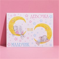 Конверт подарочный «Мальчик или девочка», 15×11см 105888