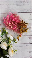 Сухоцветы д/творчества и декора "цветочки" Гипсофила розовая
