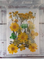 Декор Сухоцветы мини "цветочки" ассорти 10*14см, желтый микс+папоротник