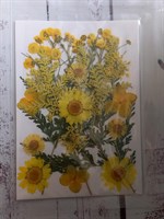 Декор Сухоцветы мини "цветочки" ассорти 10*14см, желтый микс