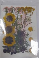 Декор Сухоцветы мини "цветочки" ассорти 10*14см, желтый розовый микс ромашки