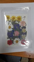 Декор Сухоцветы мини "цветочки" ассорти 10*14см, ромашки микс