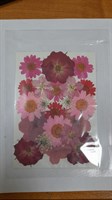 Декор Сухоцветы мини "цветочки" ассорти 10*14см, красно-розовый микс