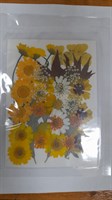 Декор Сухоцветы мини "цветочки" ассорти 10*14см, желтый микс календула