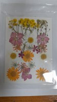 Декор Сухоцветы мини "цветочки" ассорти 10*14см, желтый- белый микс календула+ромашка