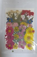 Декор Сухоцветы мини цветочки ассорти 10*14см разноцветный микс 