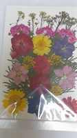 Декор Сухоцветы мини цветочки ассорти 10*14см радужный микс 