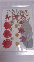 Декор Сухоцветы мини "цветочки" ассорти 10*14см, ромашковый микс