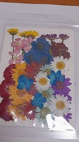 Декор Сухоцветы мини "цветочки" ассорти 10*14см, сине-ромашковый микс