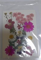Декор Сухоцветы мини "цветочки" ассорти 10*14см, розовый микс+ папоротник