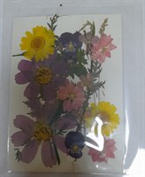 Декор Сухоцветы мини цветочки ассорти 10*14см радужные ромашки микс 