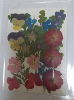 Декор Сухоцветы мини цветочки ассорти 10*14см цветной  микс 